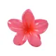 Watermelon Red__FLORAFAUNA 