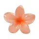 Orange__FLORAFAUNA 