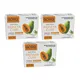 Orange__Antrix Enterprise