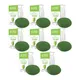 Pack of 8__Hair | Body | Skin