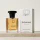 Orange__100 PERSCENT 