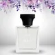 Transparent__100 PERSCENT