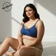Blue__BUTTERFLY DREAMZ 