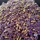 Purple__The Beaded Story