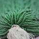 Green__LUXE DAZZLE PRIVATE LIMITED
