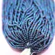 Blue__LUXE DAZZLE PRIVATE LIMITED