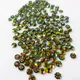 Green__The Beaded Story