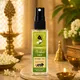 NA__Tarush Fragrance Fusion