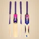 Purple__BECO