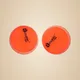 Orange__BECO