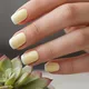 Yellow__BLISSS NAILS