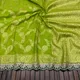 Parrot Green__IRAAYAE 