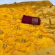 Mustard Yellow__IRAAYAE 