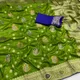 Parrot Green__IRAAYAE 