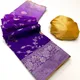 Orchid Purple__IRAAYAE 