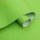 Parrot Green__WISDOM