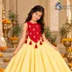 Lemon Yellow Gown with Ruby Red Koti