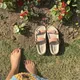 Blush Pink