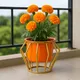 Orange__NESTORA DECOR