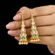 Multicolor__AGARSHAIL