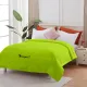 Parrot Green__SLEEP CLUB