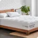 Multicolour__SLEEP CLUB