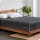 Multicolour__SLEEP CLUB