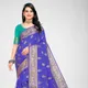 Blue__Jay Pal