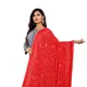 Red__AKSHAR LLC