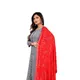 Red__AKSHAR LLC
