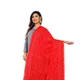 Red__AKSHAR LLC
