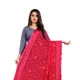Pink__AKSHAR LLC