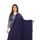Blue__AKSHAR LLC