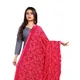 Pink__AKSHAR LLC