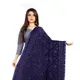 Blue__AKSHAR LLC
