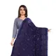 Blue__AKSHAR LLC