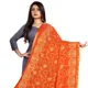 Orange__AKSHAR LLC