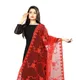 Red__AKSHAR LLC