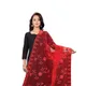 Red__AKSHAR LLC