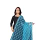 Blue__AKSHAR LLC