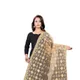 Beige__AKSHAR LLC