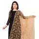 Beige__AKSHAR LLC