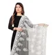 White__AKSHAR LLC