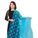 Light Blue__AKSHAR LLC