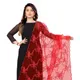 Red__AKSHAR LLC