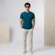 Teal__BOLD BASICS
