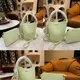 Light Green__The House of Kyra