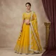 Yellow__DIVYANSHI TRENDS