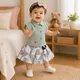 Mint Green,Gray__Ctkart