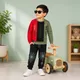Sage Green __Ctkart